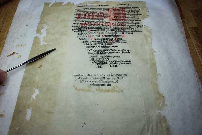 examining a rare medieval manuscript